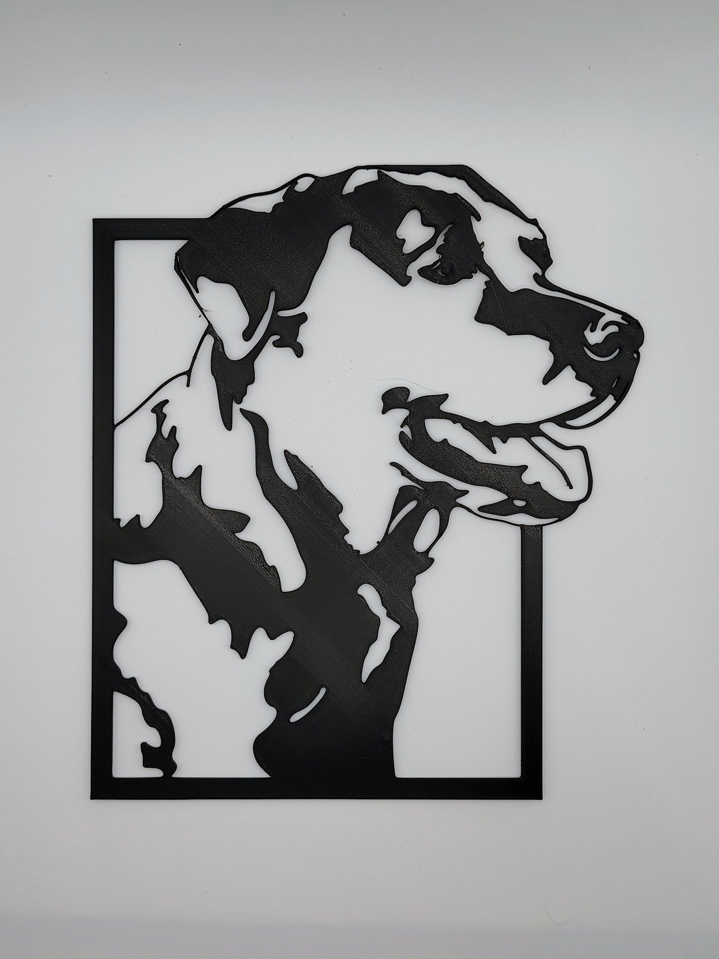 Labrador